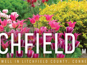 On The News with Joy Brown