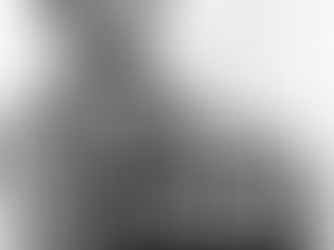 Black Fiddlers | Press Release