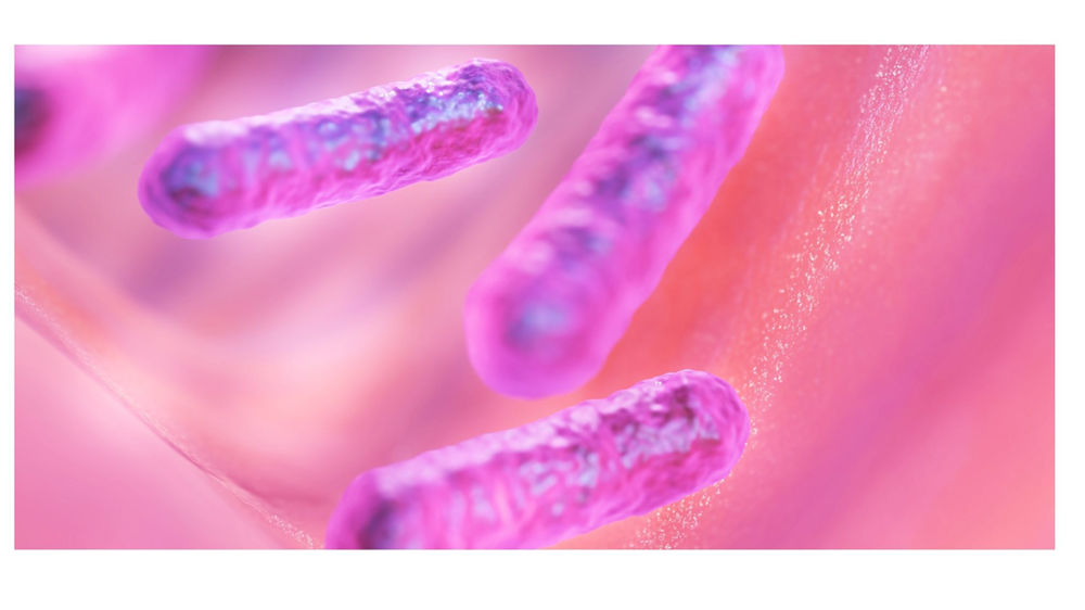 Ijzer wat u moet weten en de rol van het microbioom