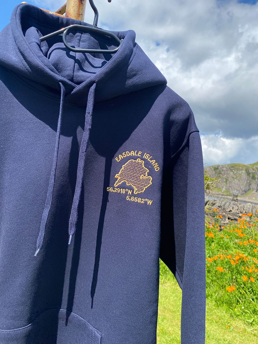 Thumbnail: Unisex Embroidered Hoodie