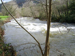 Río Porcía en La Veguina.