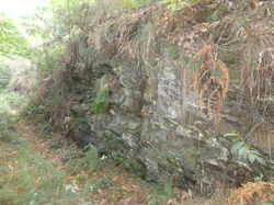 Pared superior en Alfonsares