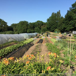 LWA's Pilot Farmer Mentoring Scheme