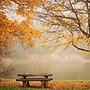 Bench autum park lake .png