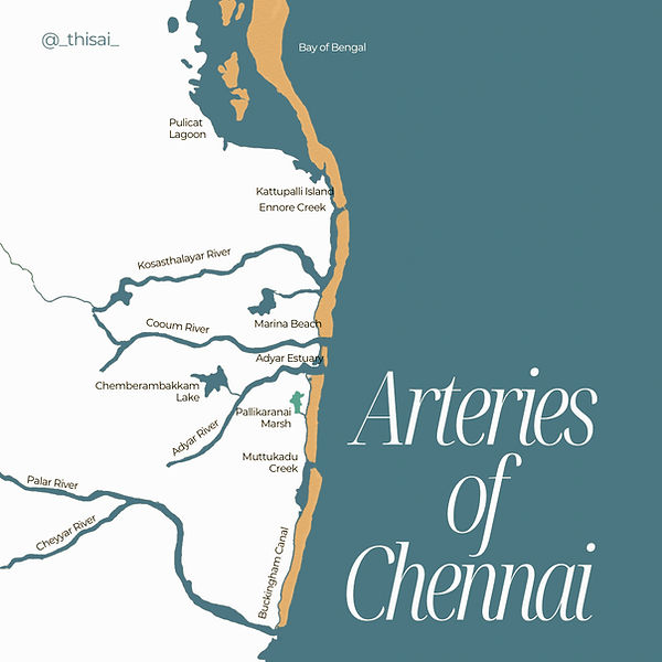 Wetlands preface post series - Chennai's