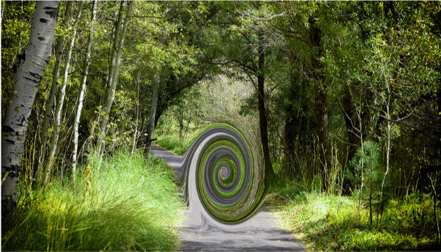 "Spiritual Forest Path, South Lake Tahoe Portal", Janna Waldinger