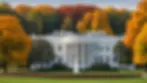 Eye-level view of the White House surrounded by autumn trees