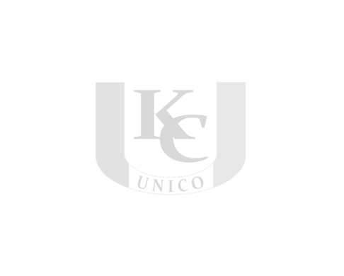 logo grey.png