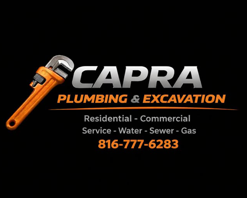 Business-Ad ProRoofingKC copy.png