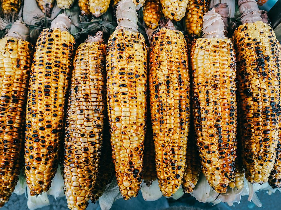 Close-up of freshly grilled corn on the cob at an outdoor BBQ event