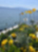 IMG_9248.jpeg