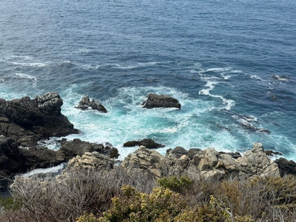 Monterrey Bay Coastline