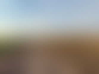 Washington State! Live Music, Cider, Chihuly Glass & graffiti in the big city.