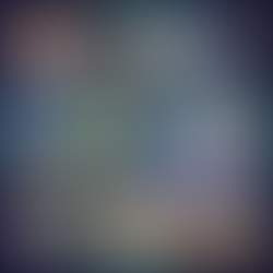 Mapping Your Energy Body:  A Recap of Fields and Chakras 