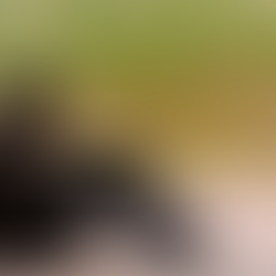 a lonely person sitting against a wall