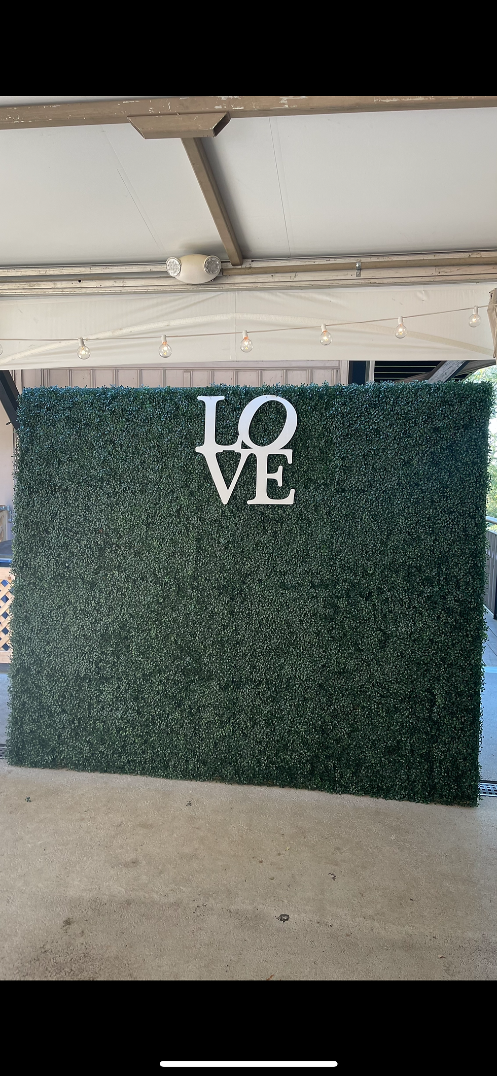 Dark Green Hedge