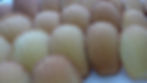 Madeleine