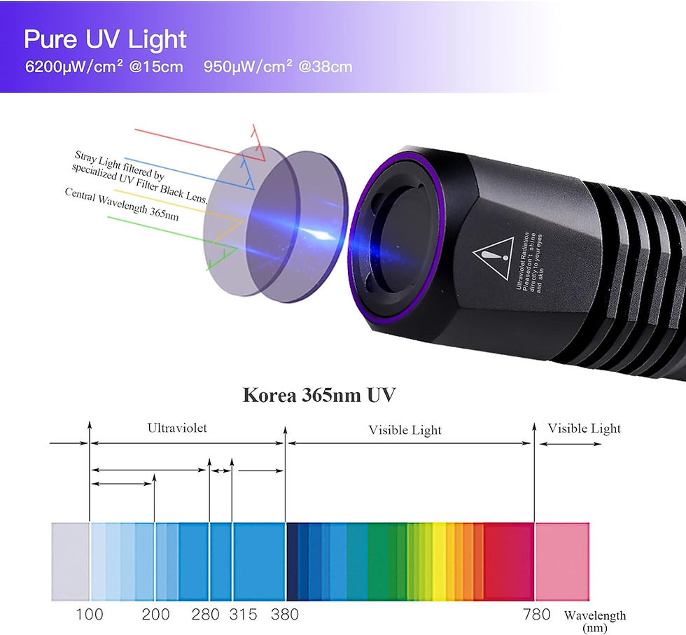 Miniaturbild: Light passes through T4 flashLight, leaving UV rays behind