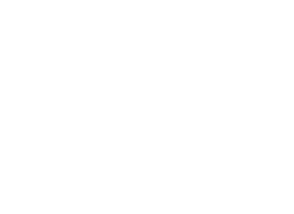 Irany logo.png