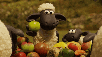 20 shaun.gif