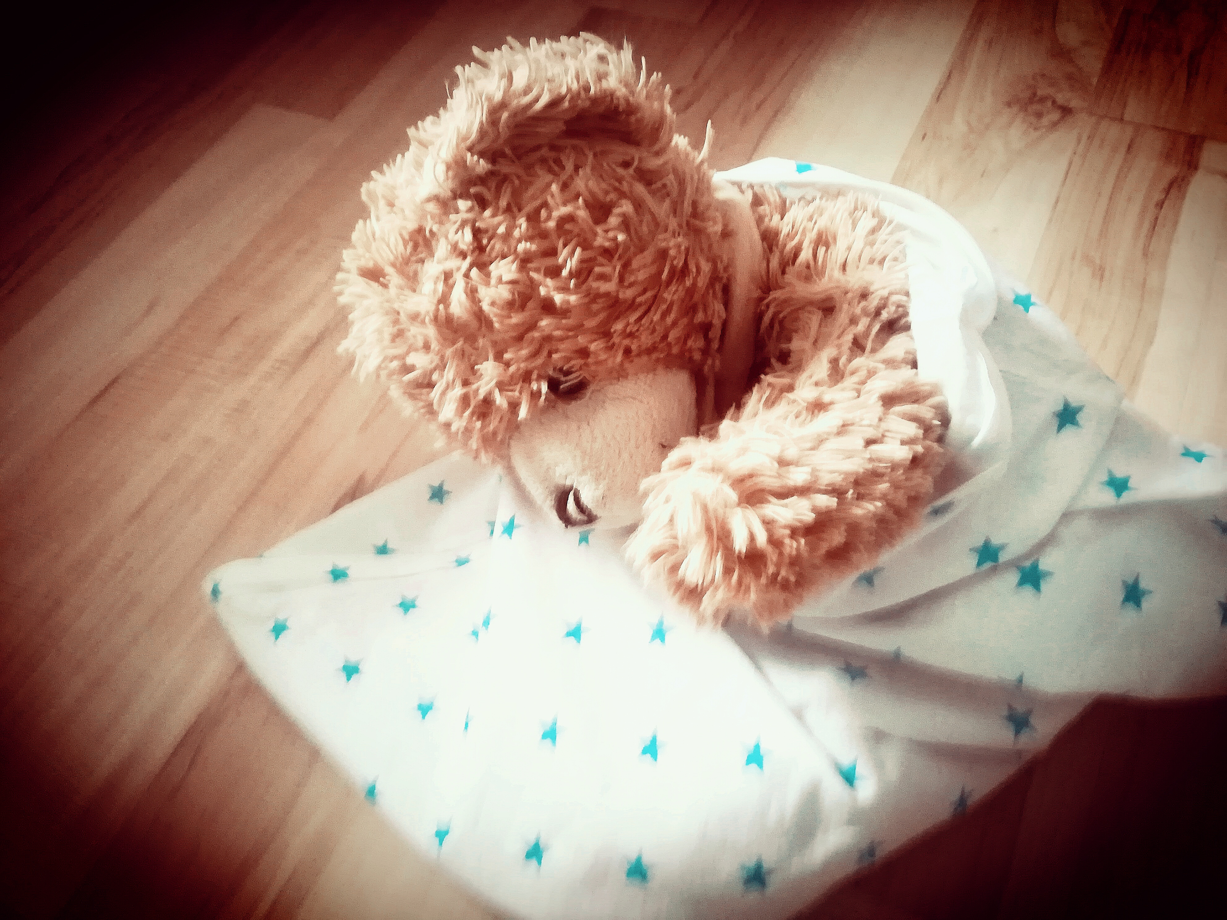 Scenariusz na Dzień Pluszowego Misia Teddy Bear Day