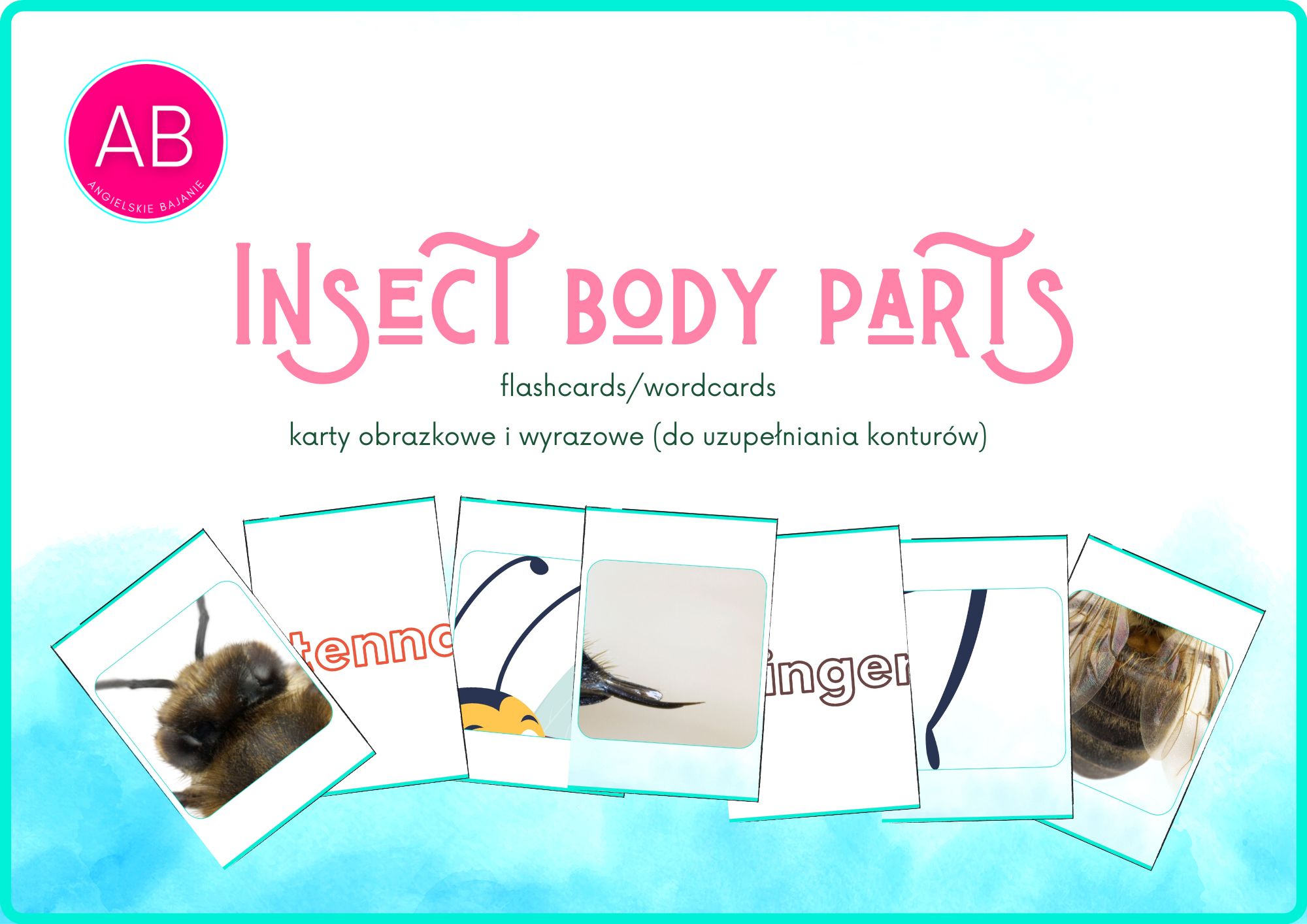 Insect body cards
