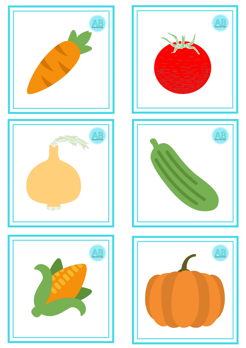 Flashcards