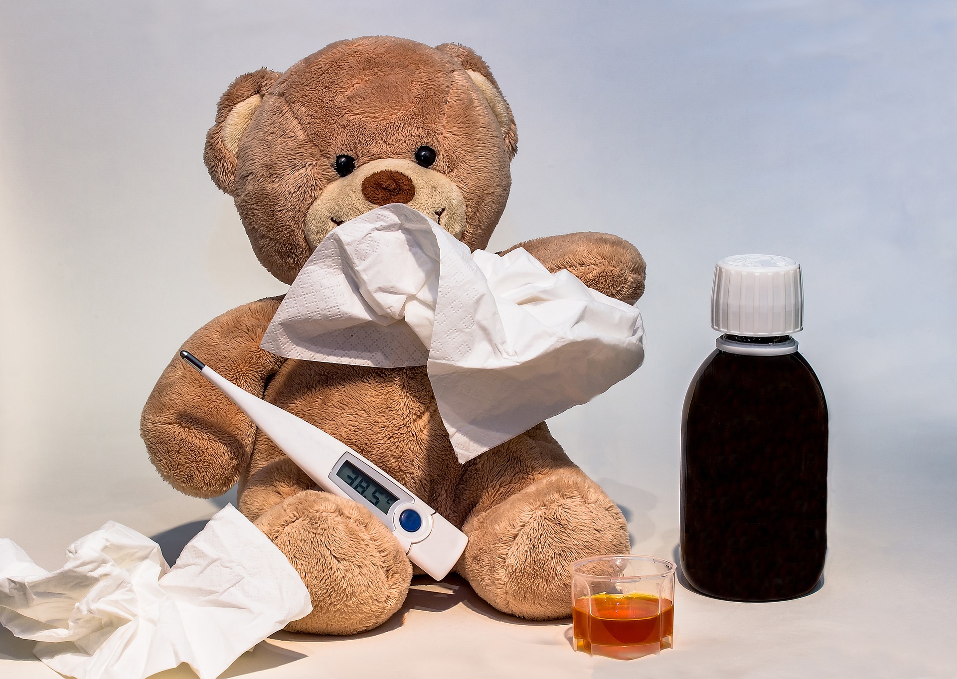 Dzień Pluszowego Misia Teddy Bear Day