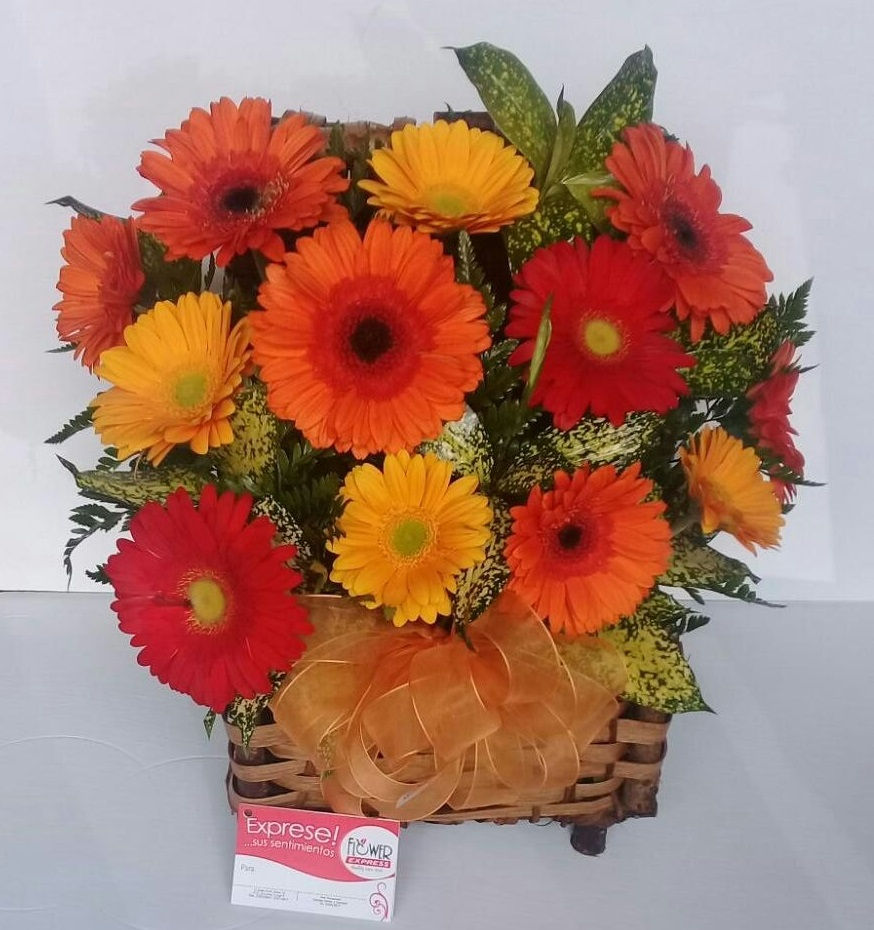 Thumbnail: Chest of 12 Gerberas