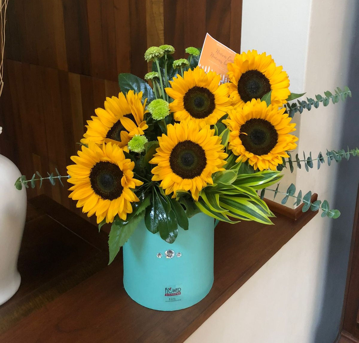 Aqua Petite Tournesol Box