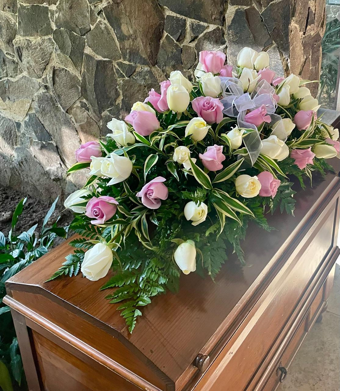 Palmatoria Premium 60R Mixta