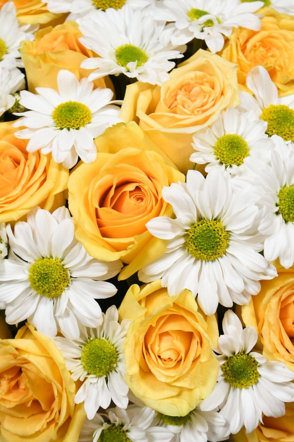 Miniatura: Caja Mini Cocoa Roses & Daisies