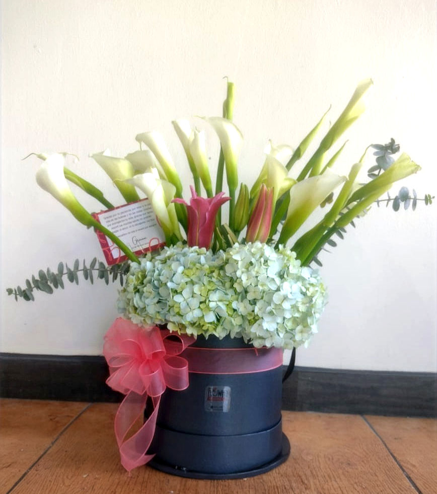 Miniatura: Caja Black Tall  Hortensias & Cartouches