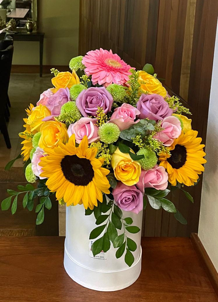 Miniatura: Caja White Mini Exotique