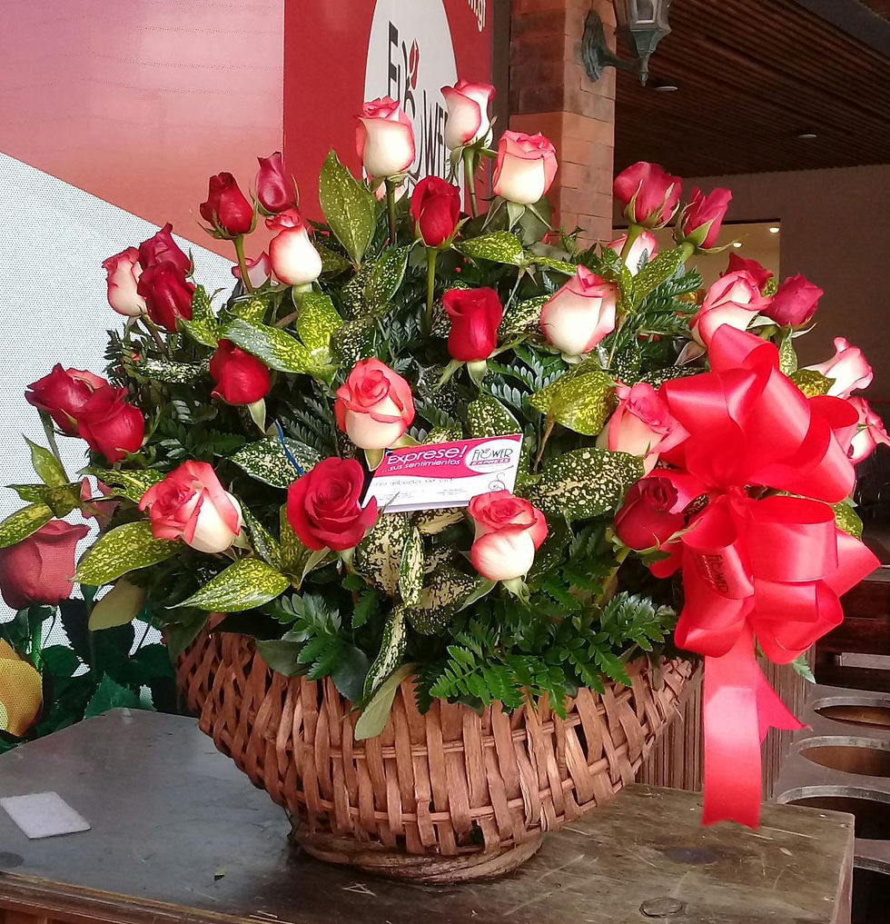 Miniatura: Concha de 48 Rosas