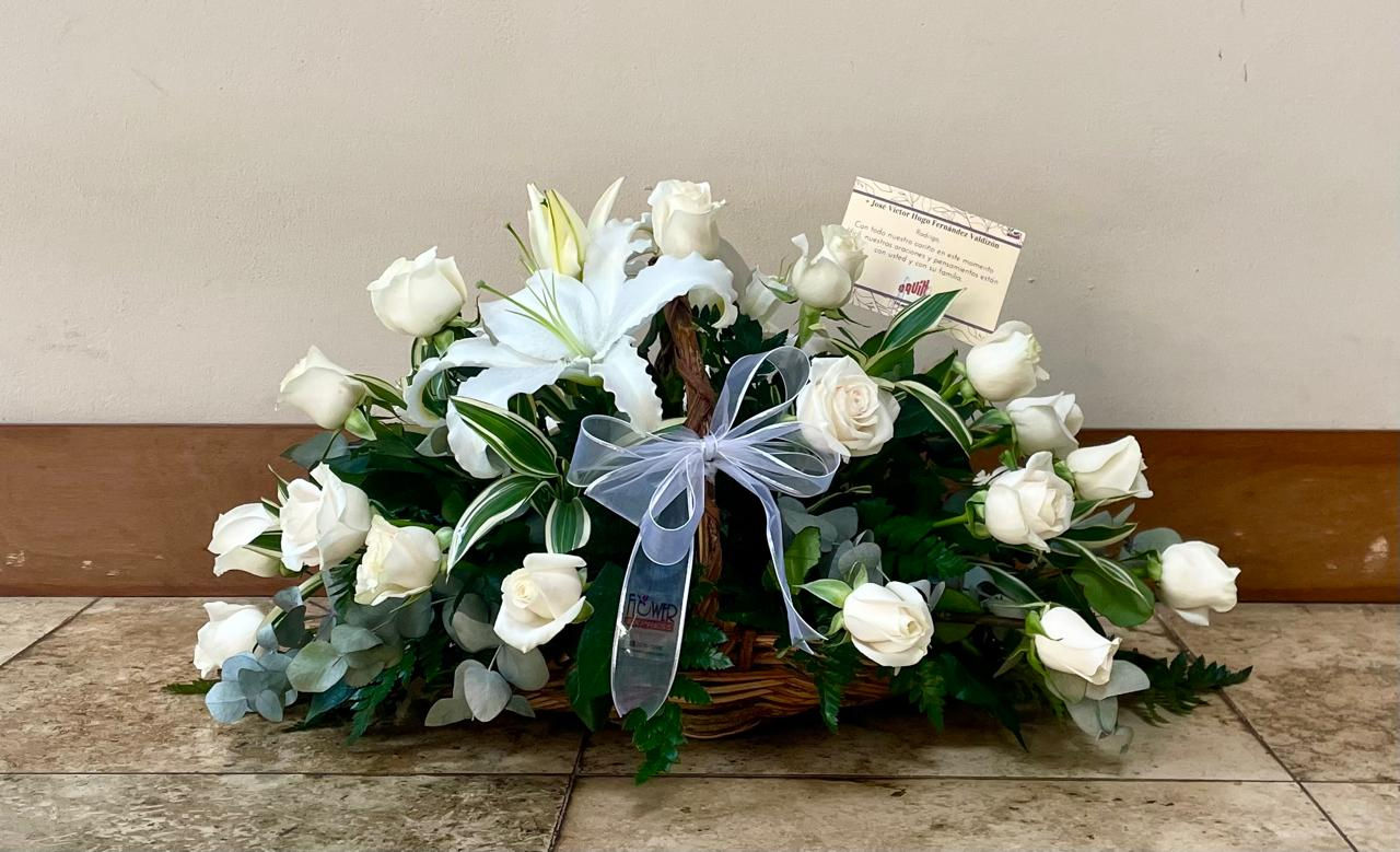 Palmatoria Rosas & Lirios 24R