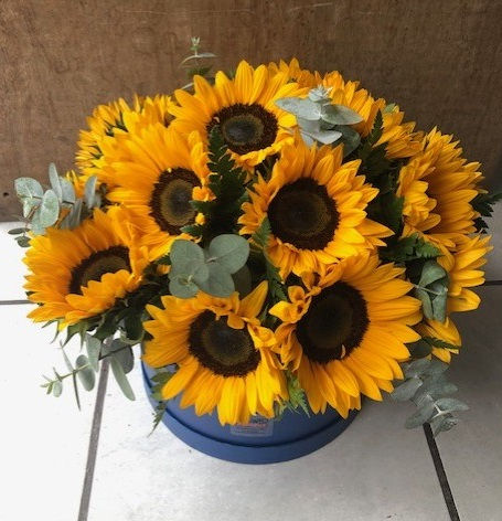 Thumbnail: Blue Tournesol Box