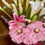 Thumbnail: Black Tall Box – Calla Lilies & Hydrangeas with Ferrero