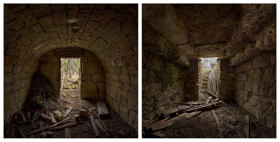 Photo Merging - 9 images in each image