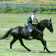 New England Saddle Fit Lise Krieger