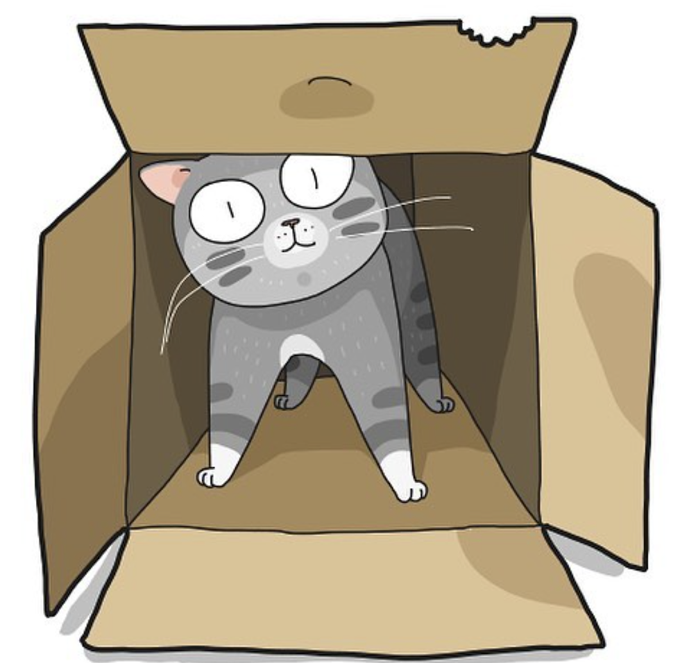 walter box.png