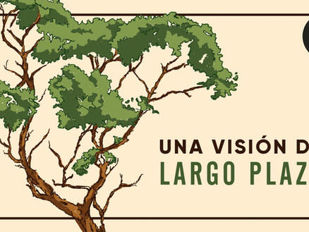 Construyendo el mañana