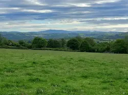 Wellewen fields