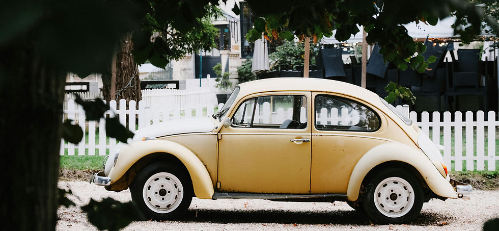 Une Coccinelle Volkswagen (Beetle)