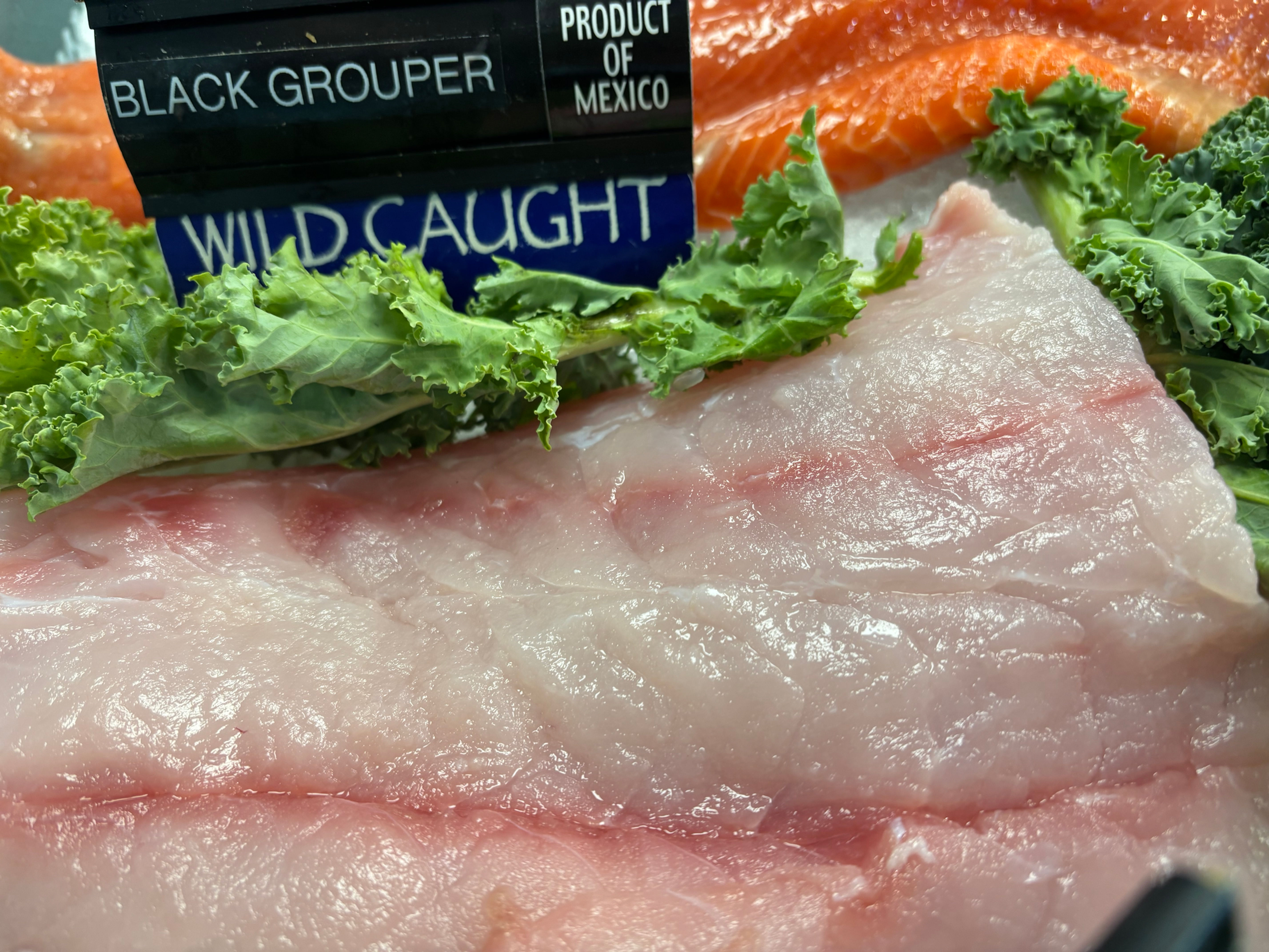 Black Grouper