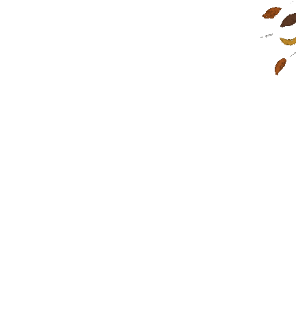 leaves falling giphy.gif