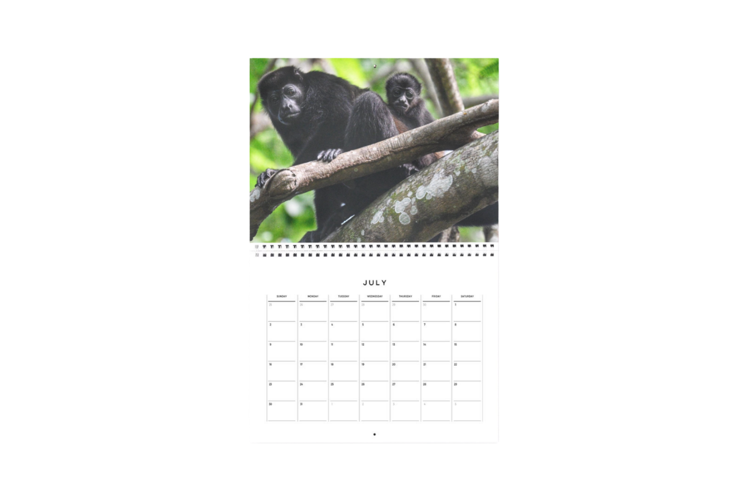 Photo Calendars