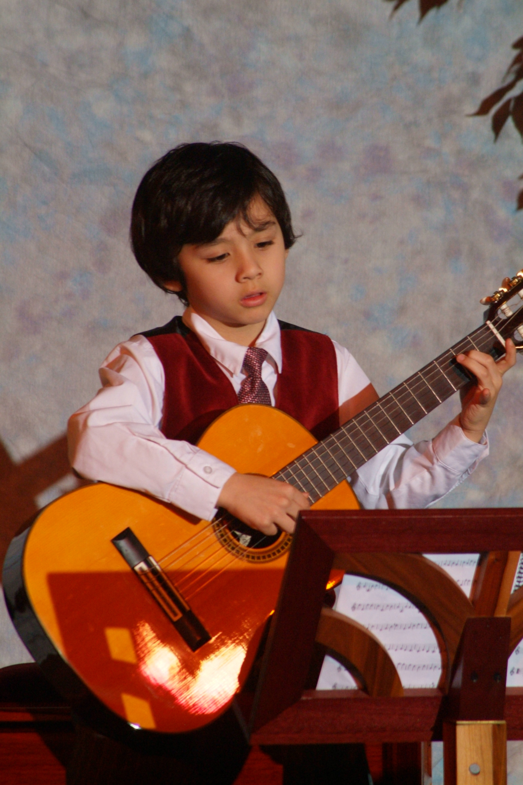 Weekly Half Hour Guitar Lessons