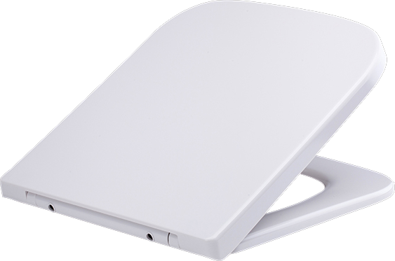 T20 Square Soft Close Seat