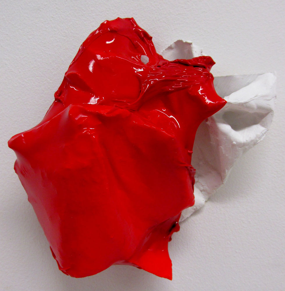 plaster coated in vacuumed plastic